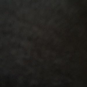 Meet your Posher, Delane